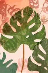 Tropical Monstera Leaves
