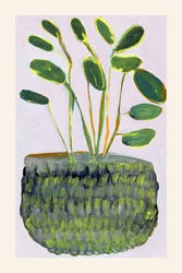 Vibrant Potted Plant
