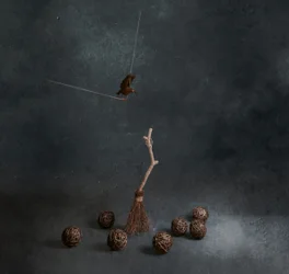 Magic Broom Flying Bird