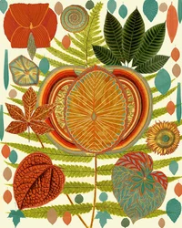 Vibrant Botanical Forms