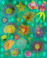 Vibrant Botanical Garden