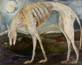 Gothic Hound