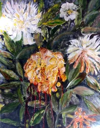 Bleeding peony, 2017