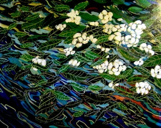 Flowers in Stream