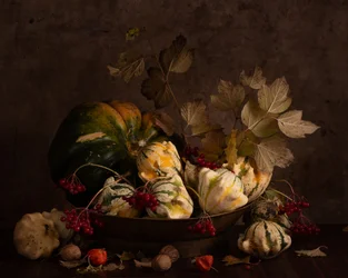 Dark Autumn Gourds