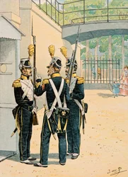 Outfit of French Troops: Voltigeurs de la Garde Imperiale
