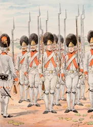 Outfit of French Troops: Grenadiers of the Regiment of Orleans